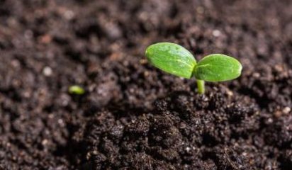 ajp linkedin web image 408x260 titlehere 25 v4