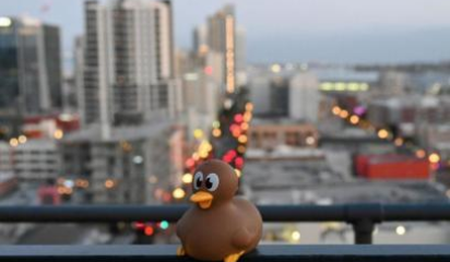 ajp linkedin web image 408x260 titlehere 13 v2