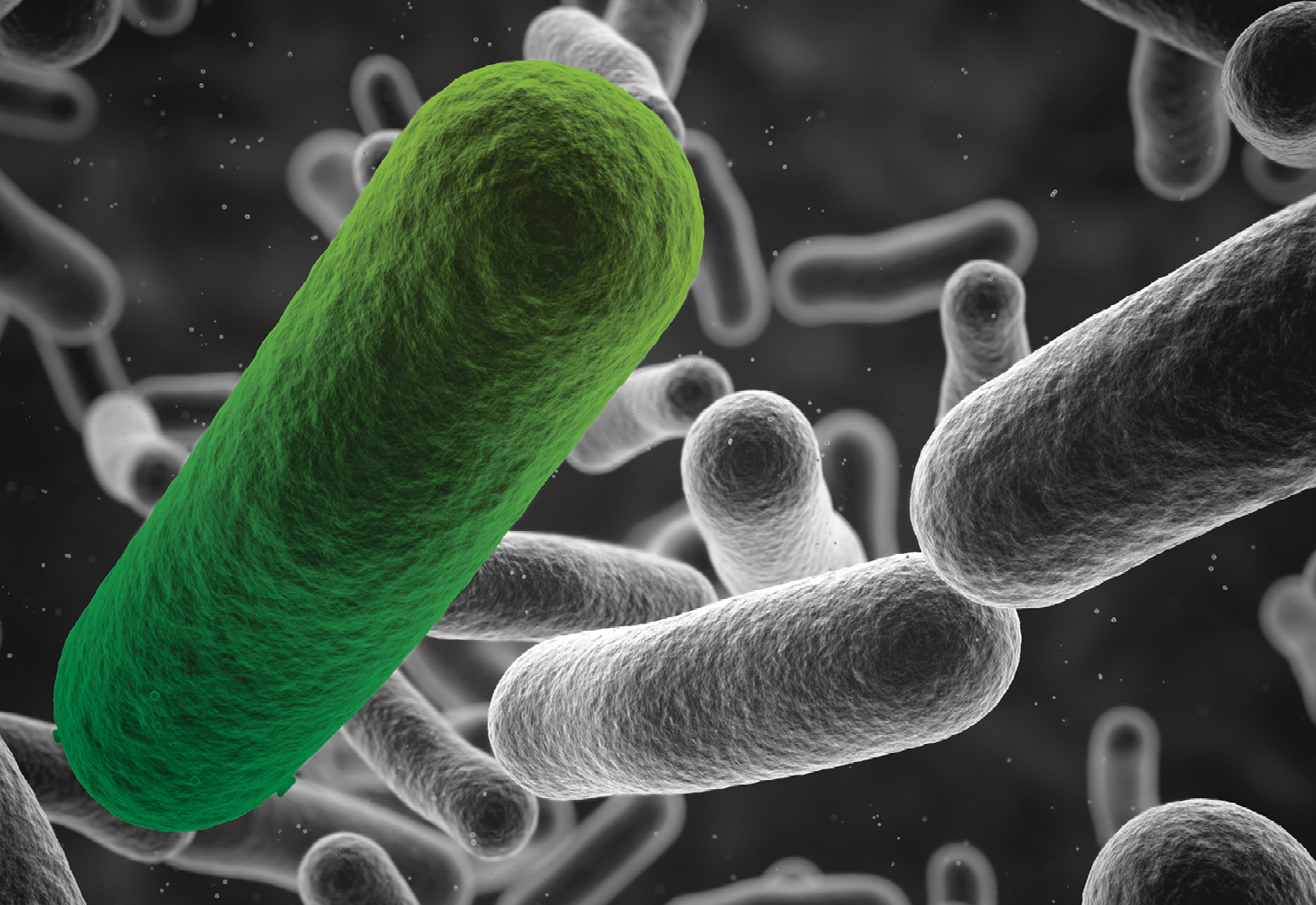 Budapest treaty thumbnail4