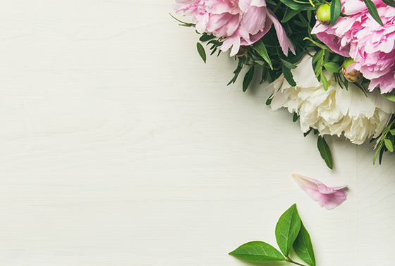 Flat lay peonies flowers thumb