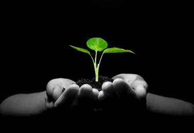 Food integrity an honest brand is worth protecting tile