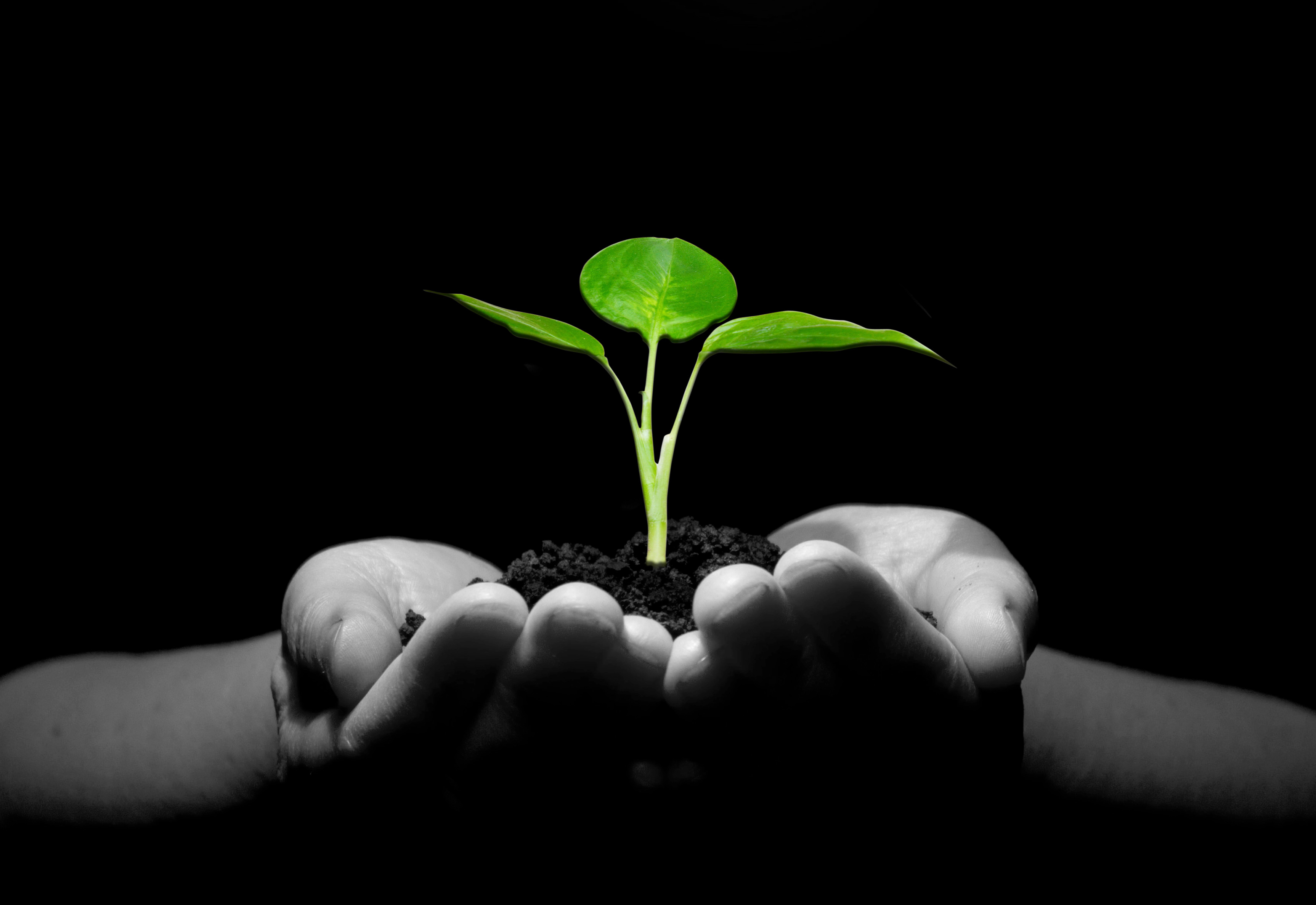 PVR Act review thumbnail3