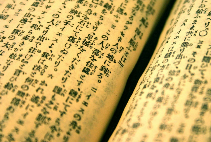 translation thumbnail